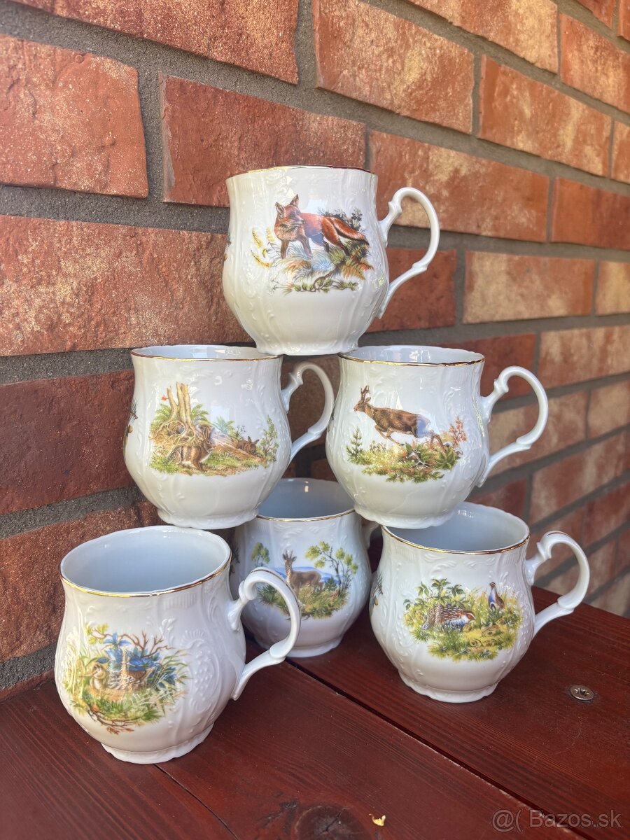 Bernadottebuclaky polovnik