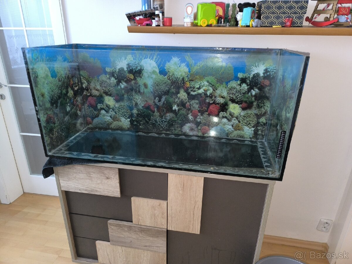 Akvarium
