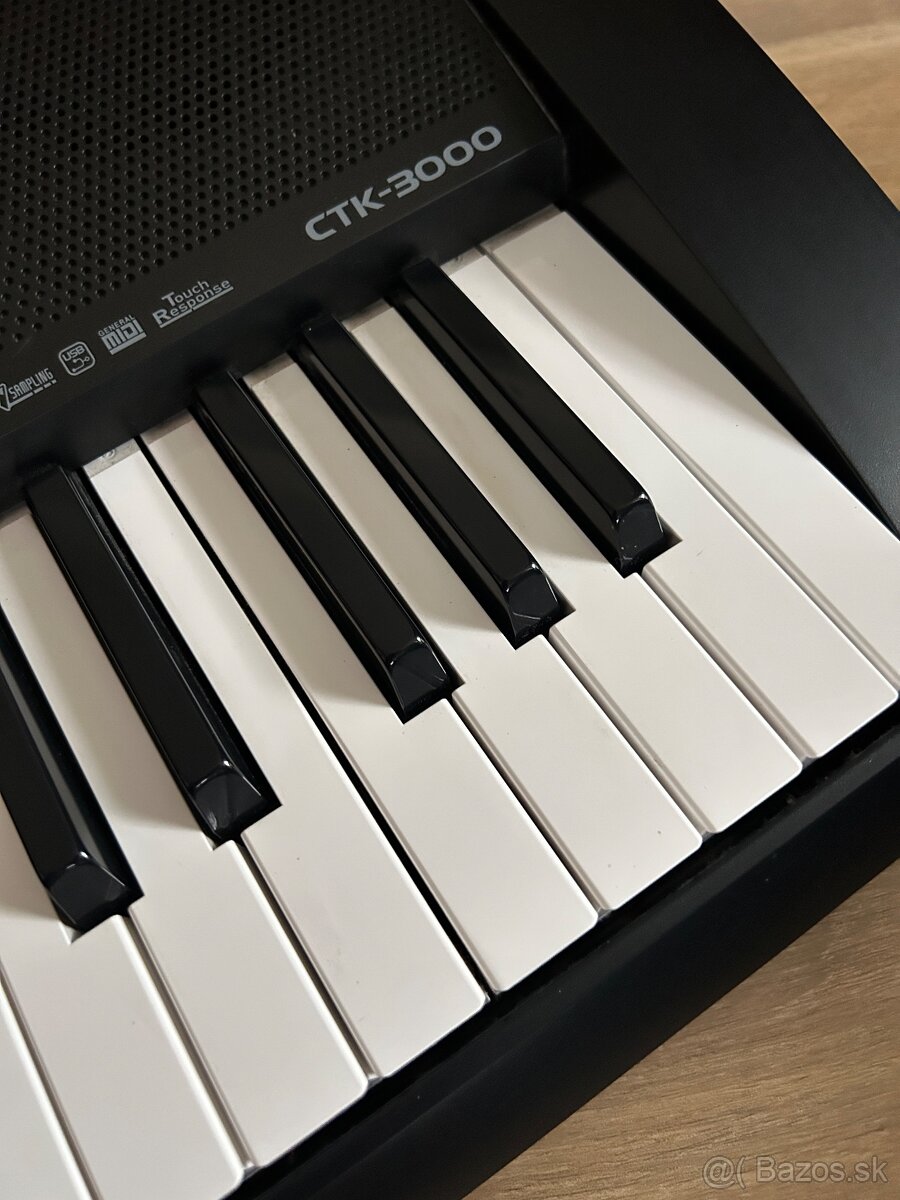 Casio CTK-3000