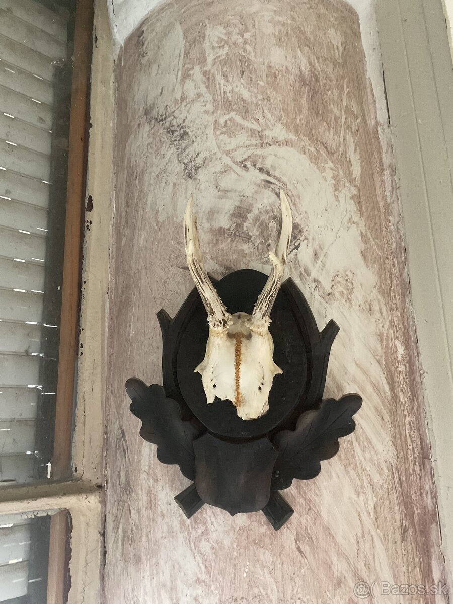 Poľovnícke predmety