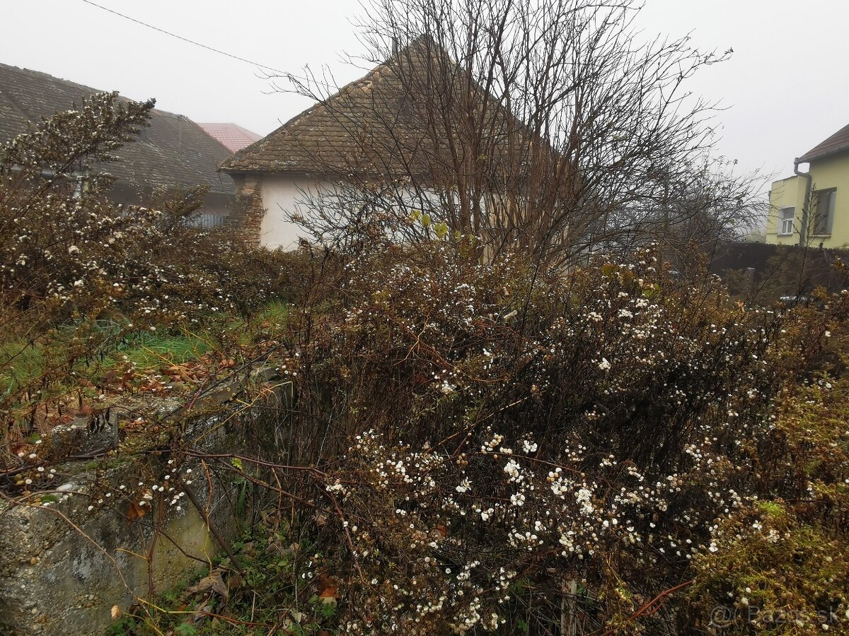 Na predaj pozemok v obci Iža, 1257 m2.