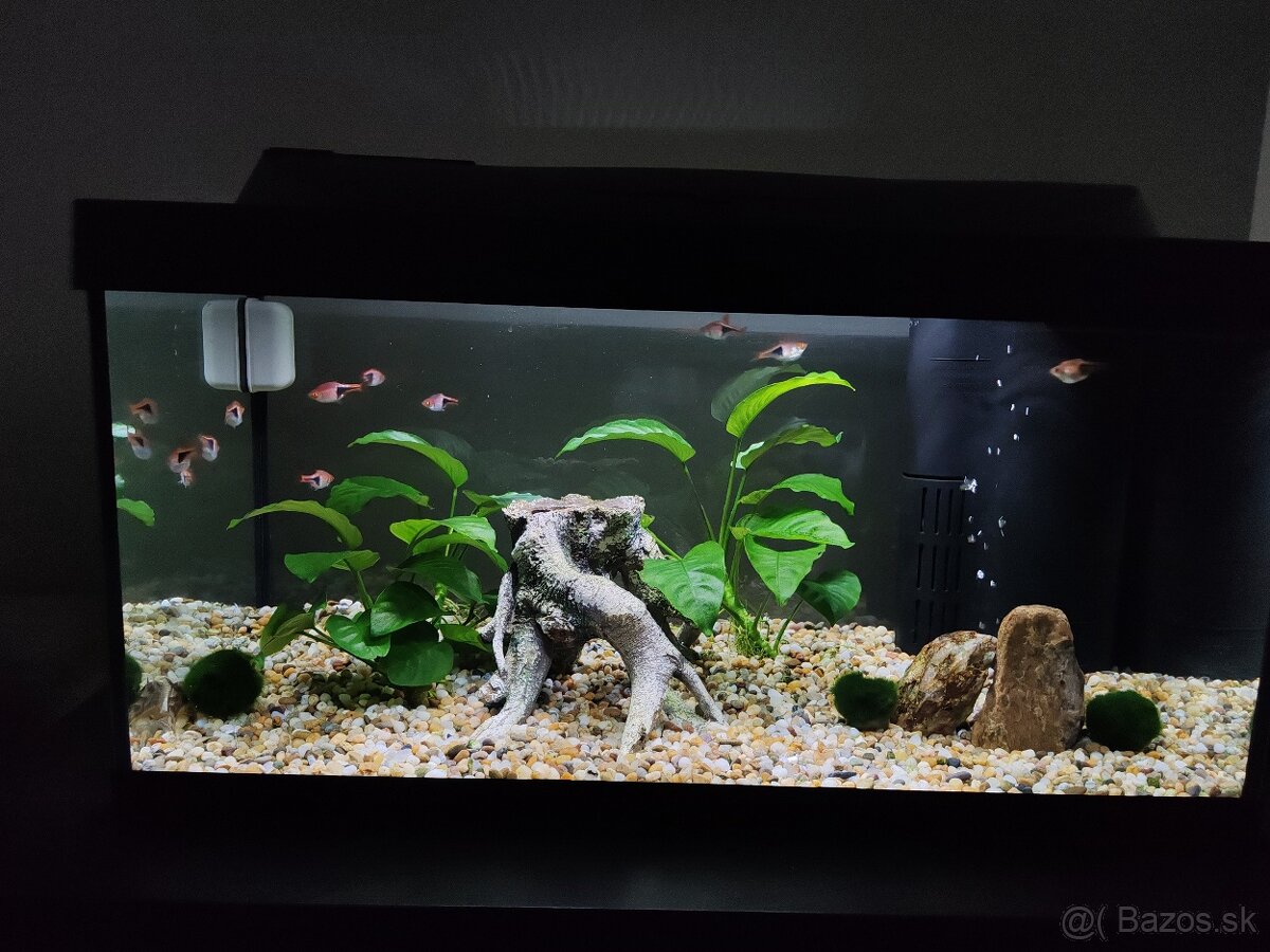Zabehnuté akvárium 54l