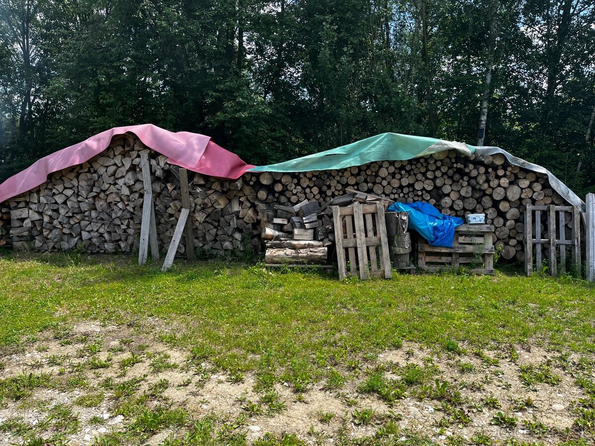Suché palivové drevo buk
