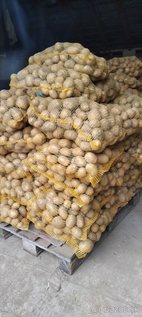 Zemiaky na zimné uskladnenie