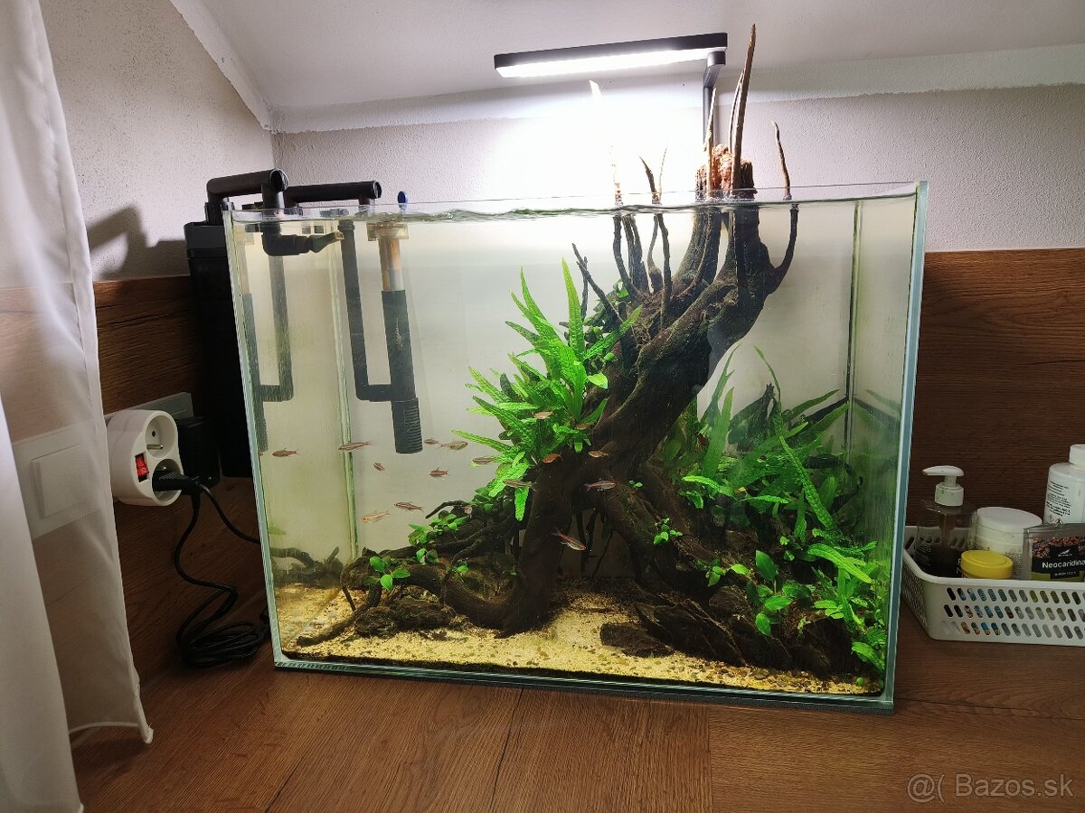 Predam zabehnute akvarium