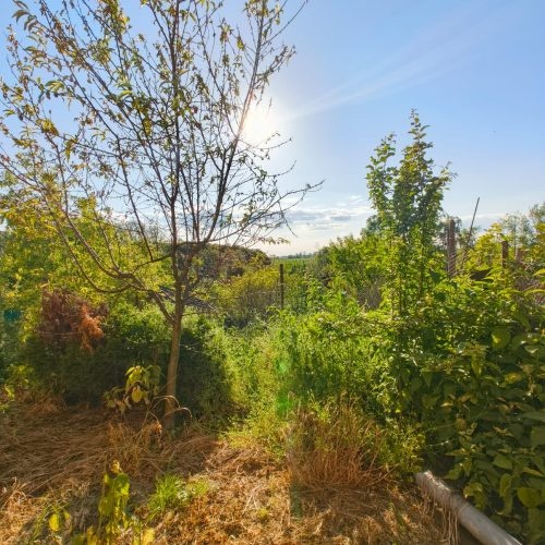 PREDAJ RODINNÉHO DOMU VO DVOROCH NAD ŽITAVOU ID: 1002