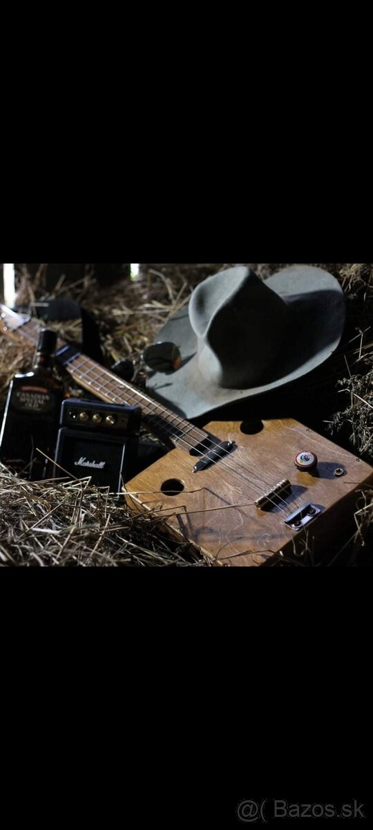 CBG guitar ,elektrická gitara