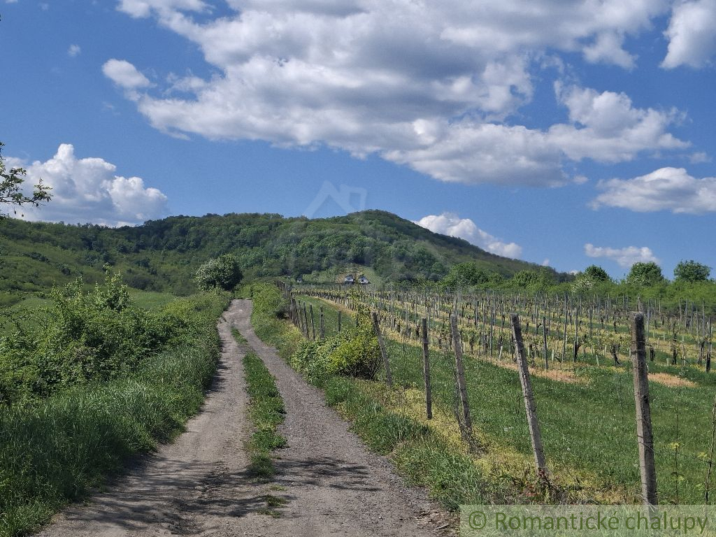 Vínny domček s nádhernými výhľadmi – splnený sen každého v