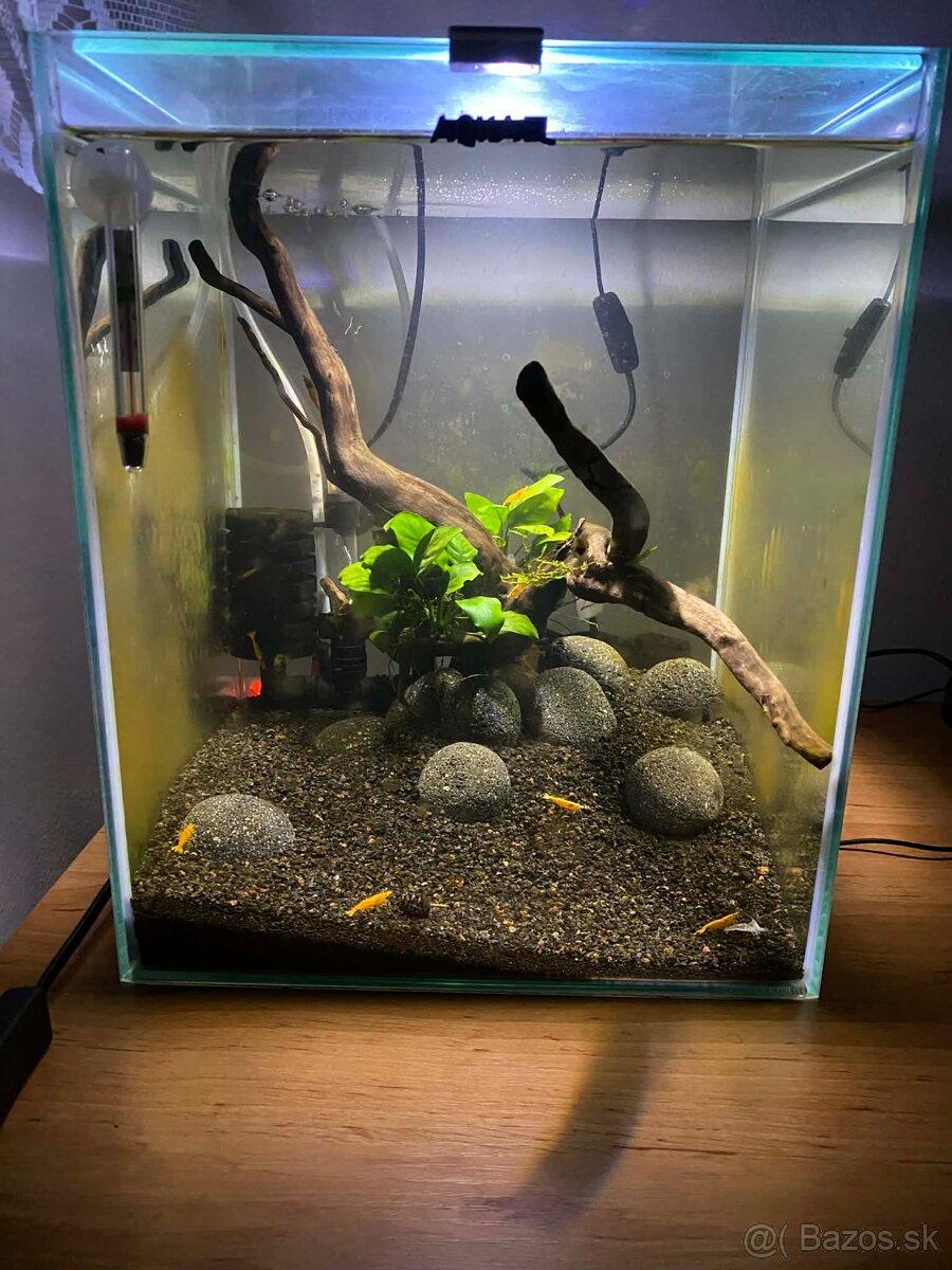 CENA DO KONCA TÝŽDŇA 1