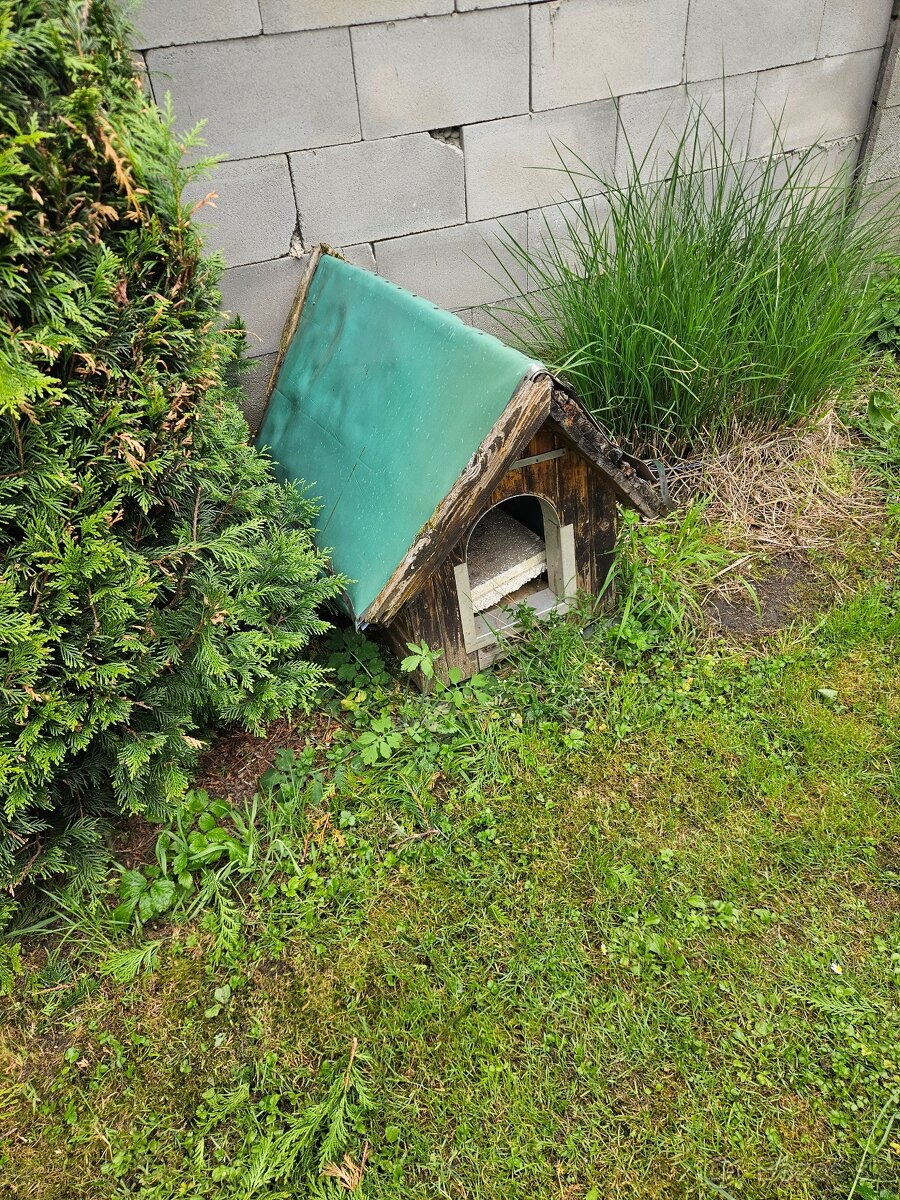 darujem za odvoz psiu budu
