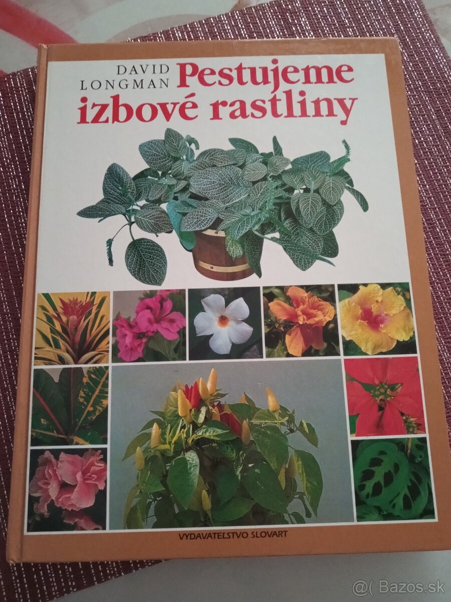 David Longman Pestujeme izbové rastliny
