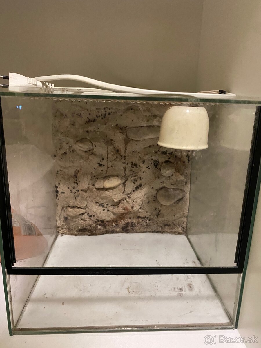 Terarium 30x30x30