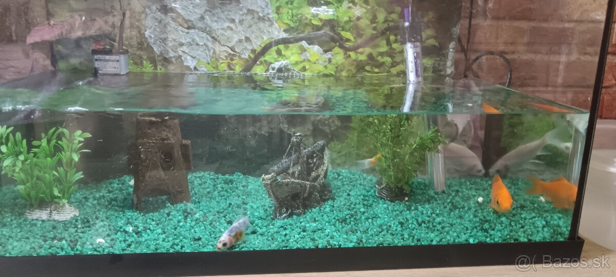Akvárium 50l