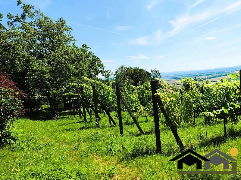 PREDAJ ZÁHRADY, KOLÍŇANY, 617 m²