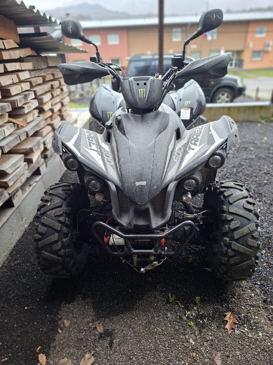 Ṣ̌tvorkolku - Taiwan Golden Bee - 4x4