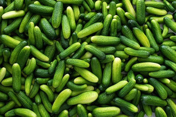 Kúpim uhorky nakladačky