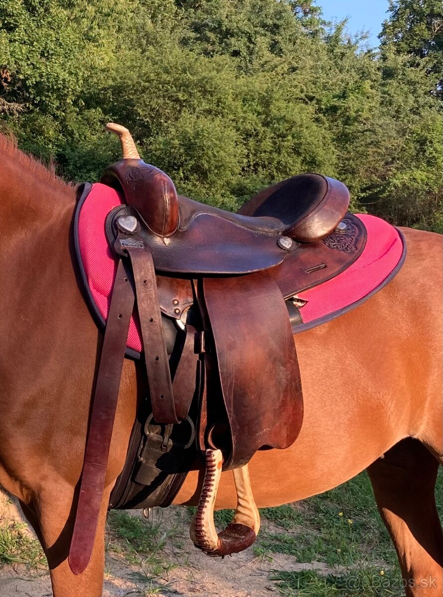 Westernove sedlo big horn