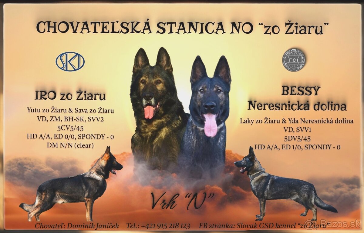 Predám šteniatka - Nemecký ovčiak