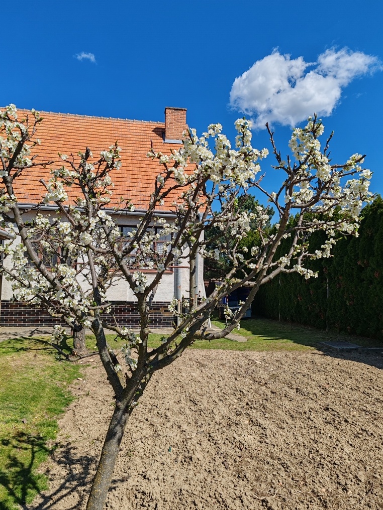 Na predaj rodinný dom Jaslovské Bohunice