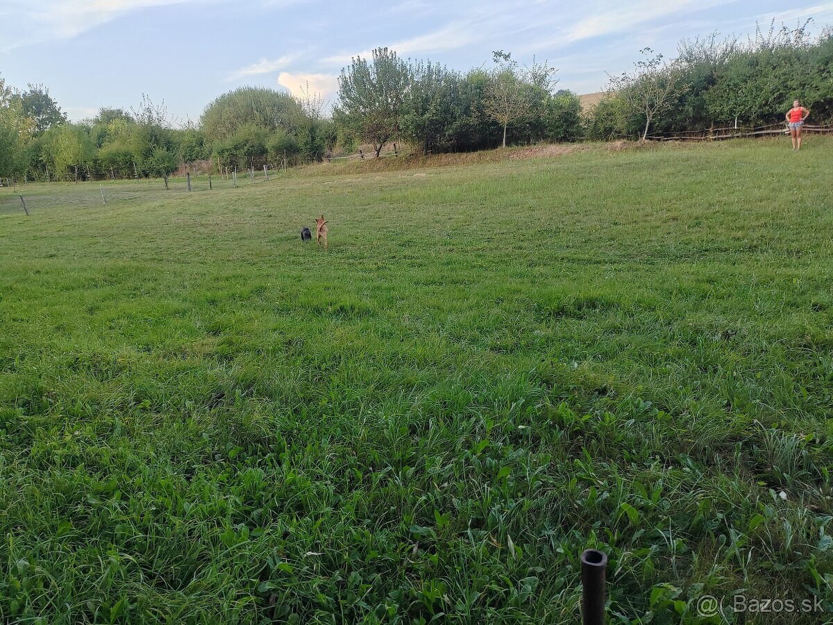 POZEMOK 100M2 PRESTAVLKY