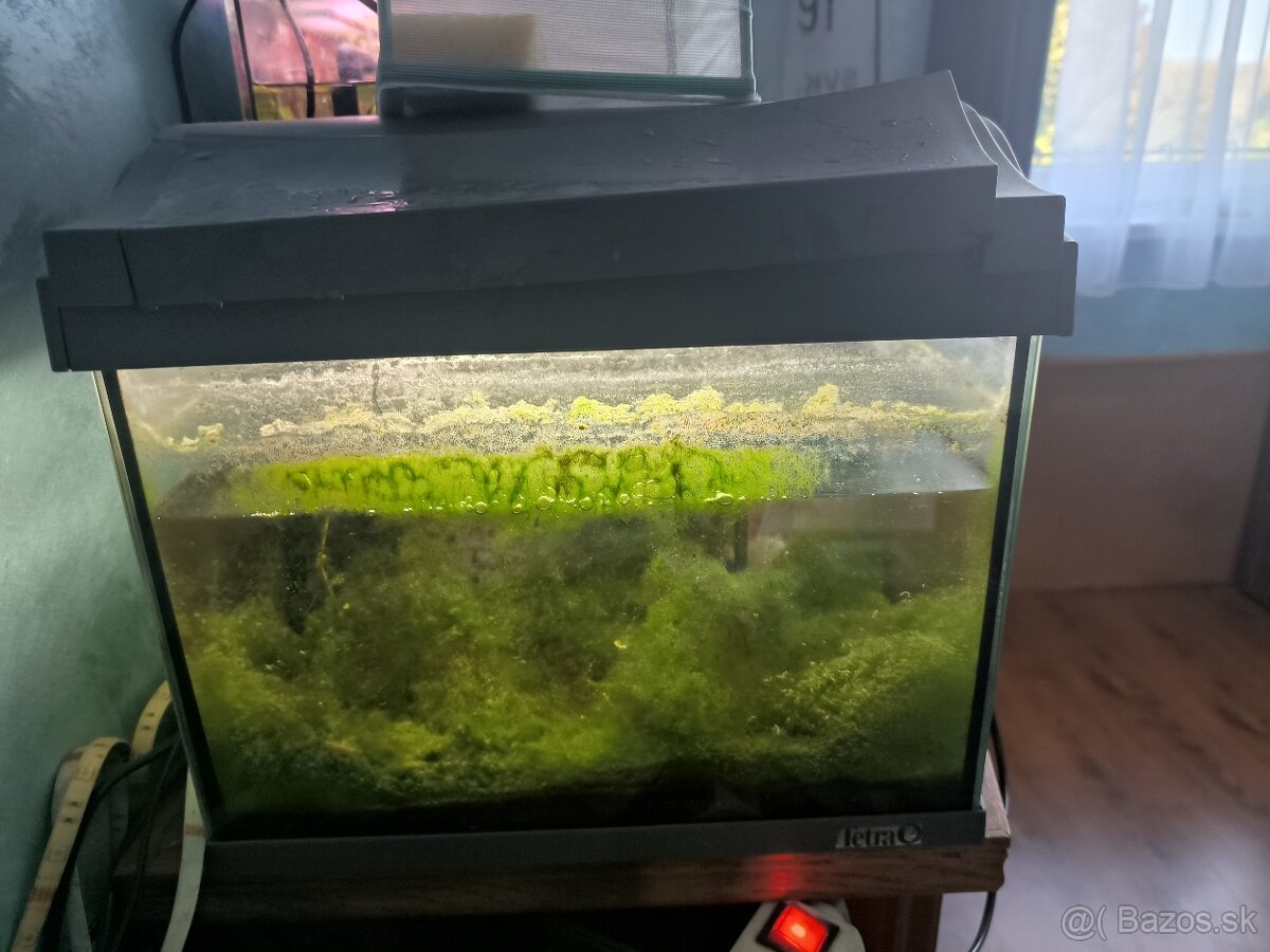 Predám 40l akvarium