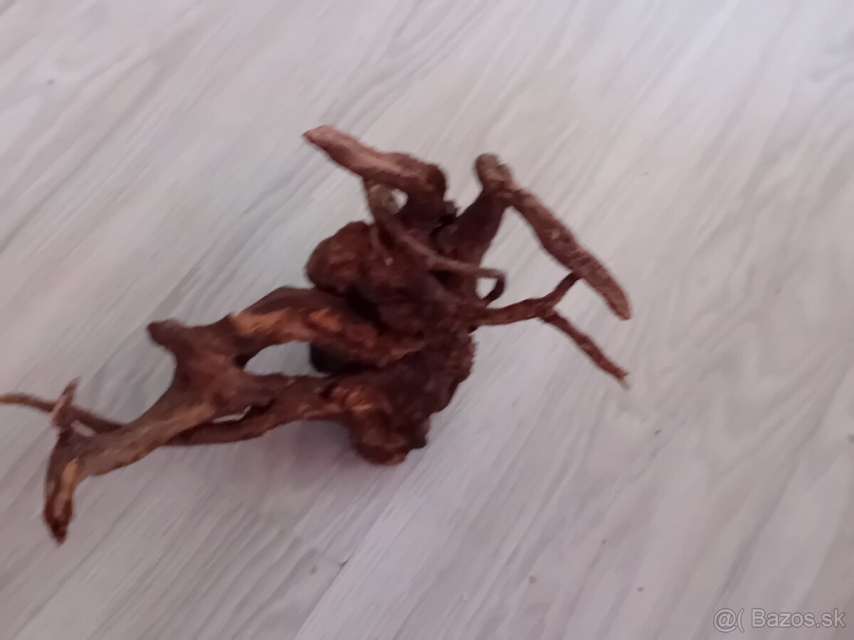 Predám