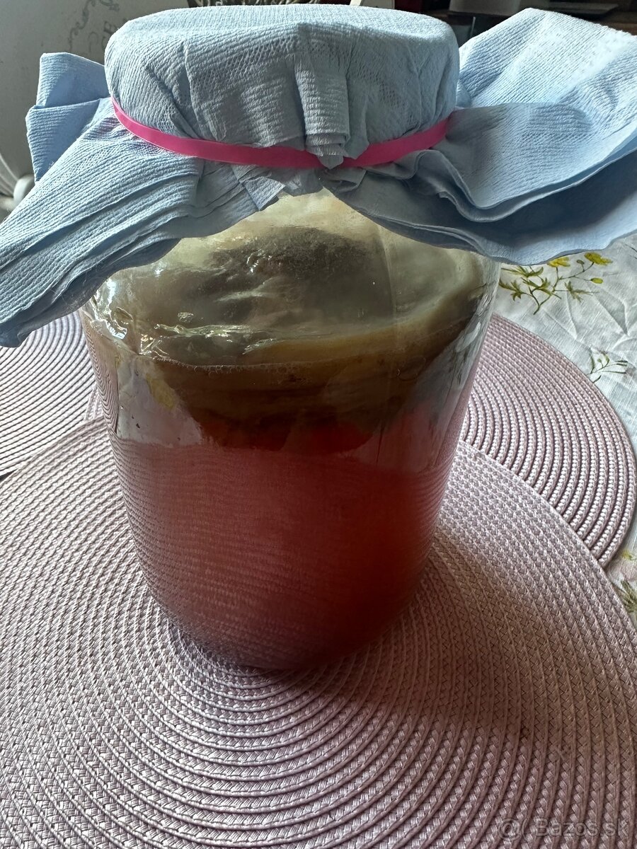 Kombucha