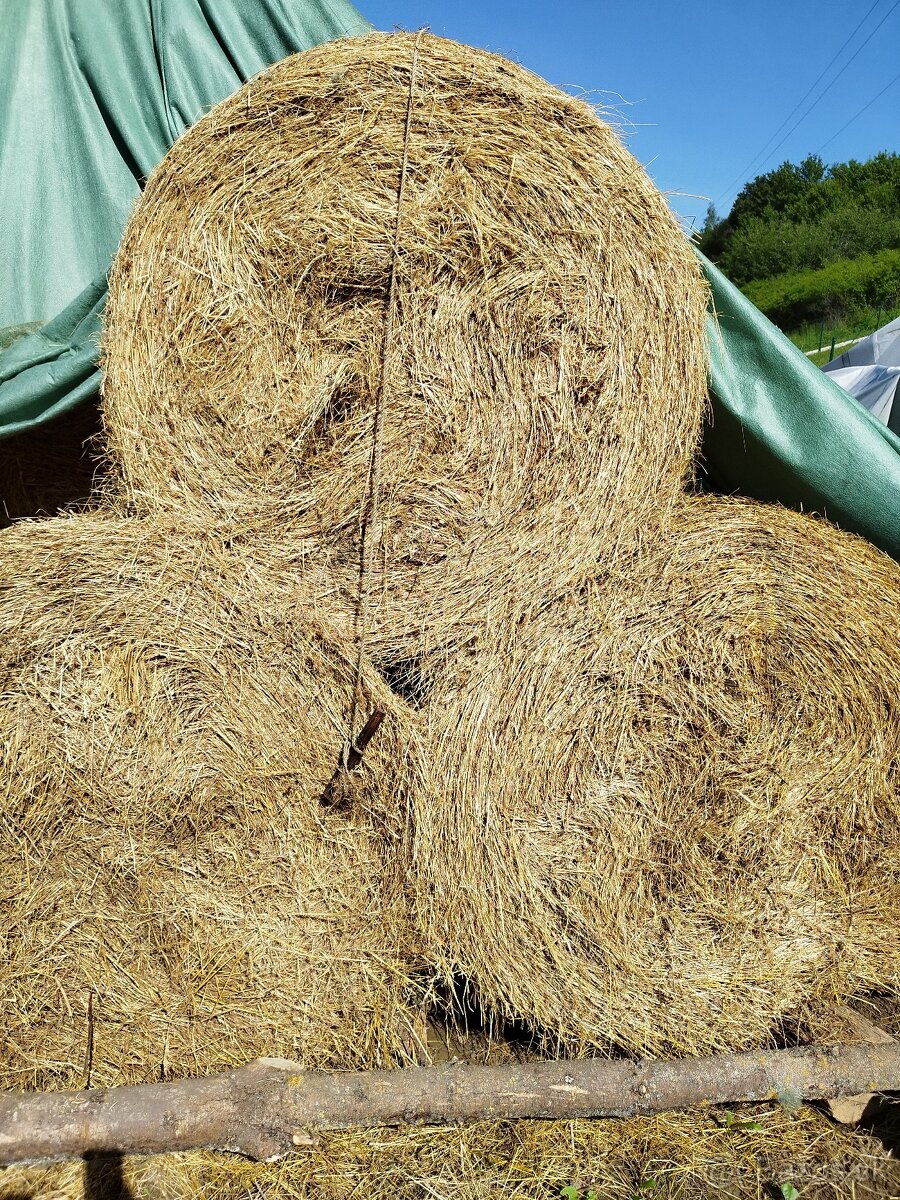 Predám balíky sena