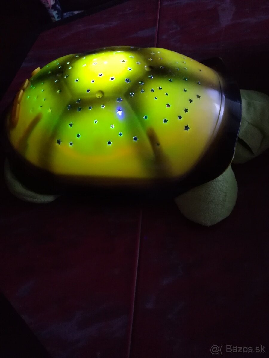 Svietiaca korytnačka