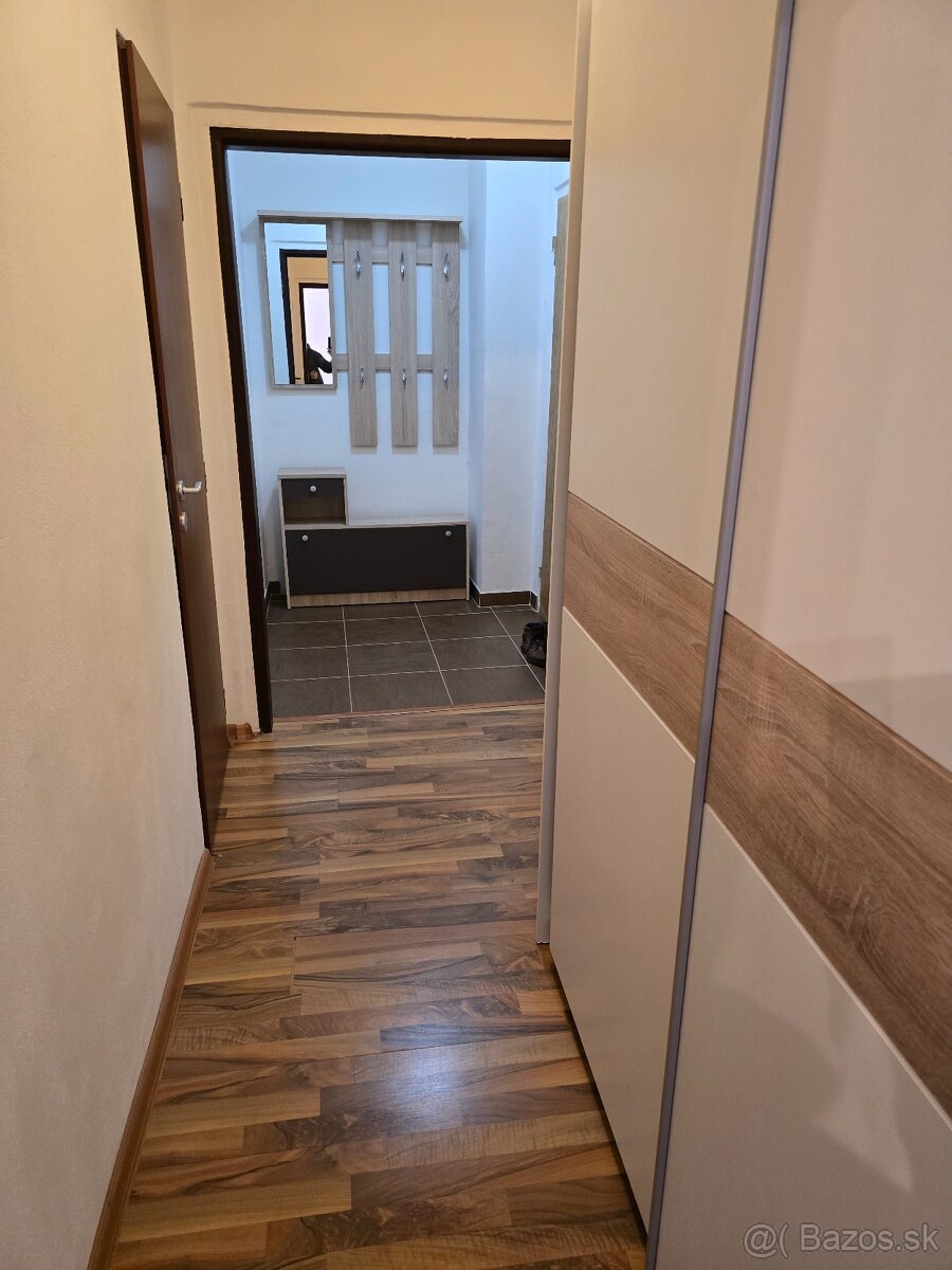 1 izbovy byt na prenajom pri TUKE