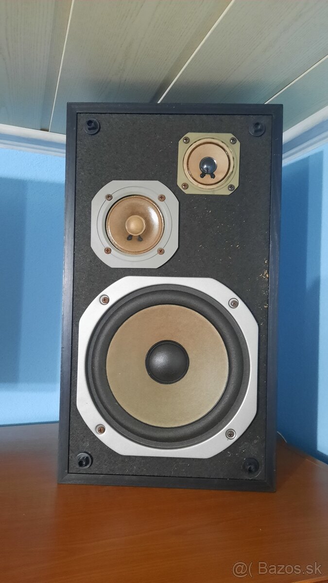 Pioneer