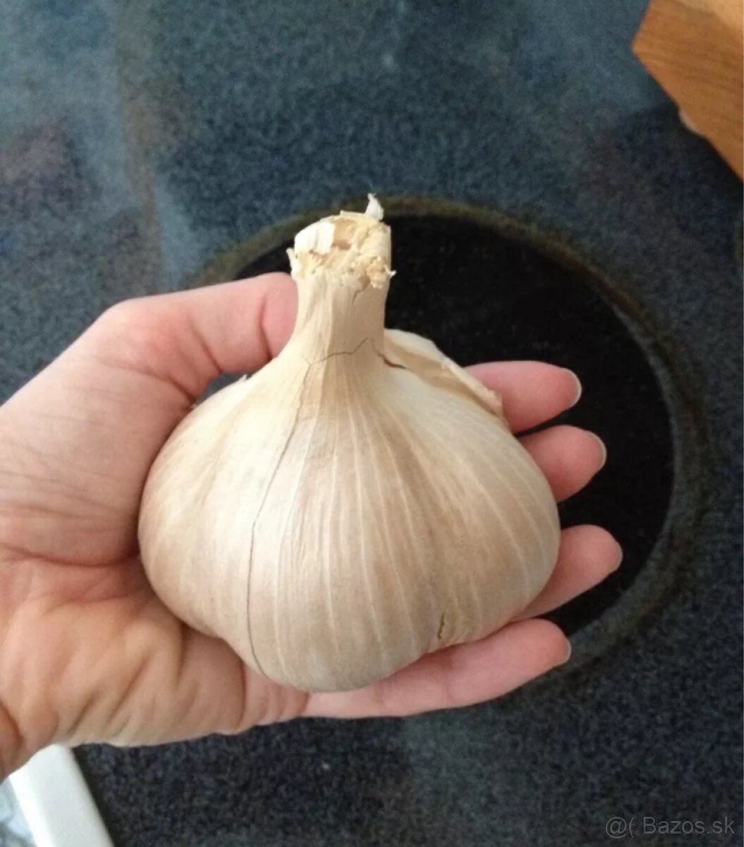 Predám domáci cesnak paličiak