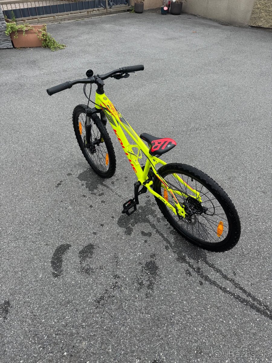 Kellys 24”