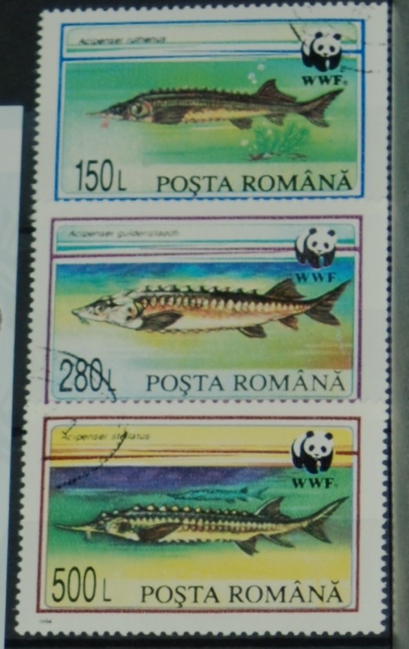 Poštové známky - Vodná ríša 198