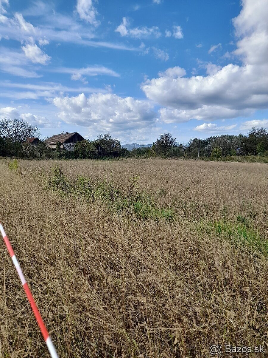 Mokrance pozemok vela možnosťi