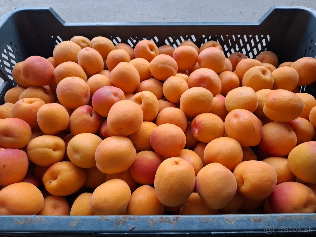 Marhule