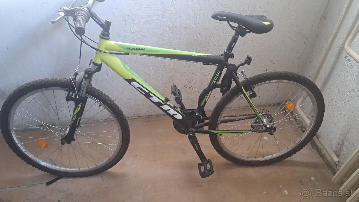 Predam CTM axon