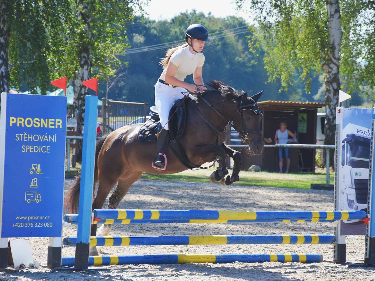 KRÁSNÁ KOBYLKA DO PONY SPORTU - možnost i na MČR