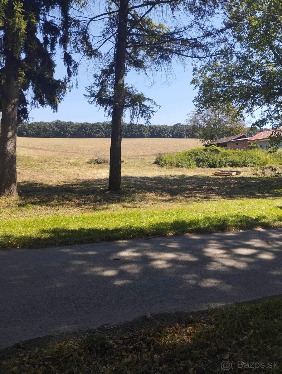 PREDAJ veľký pozemok v obci Dedinka. 5850 m2.