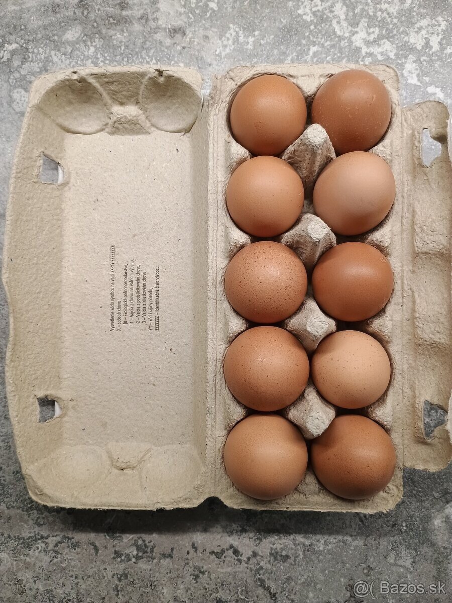 predam domace slepacie vaji-cka