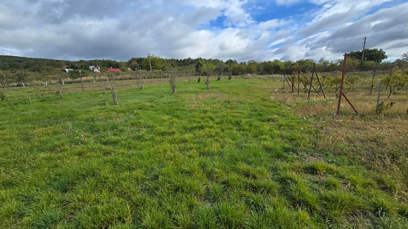 Veľký pozemok v obci Rybník - časť Kráľovka o výmere 3097 m2