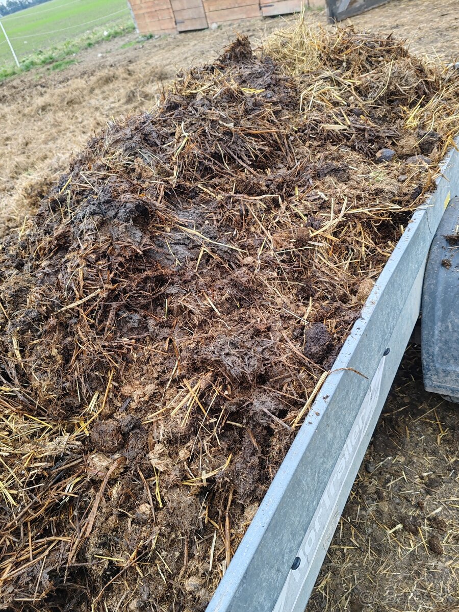 Čistý konský hnoj aj vyzrety