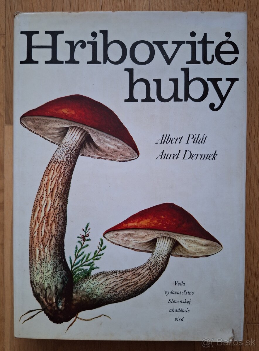 Hribovite huby