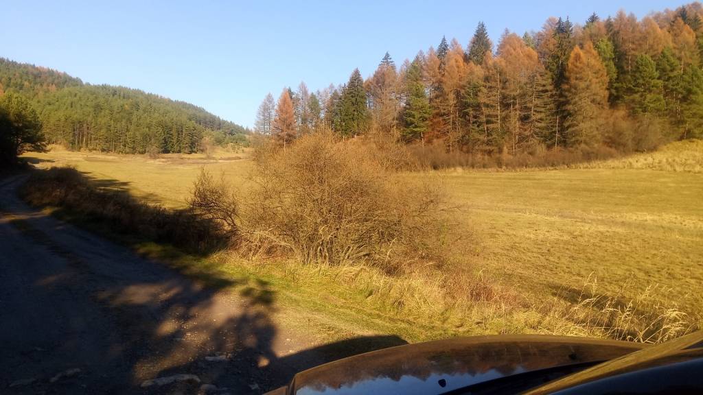 BRIEŠTIE- Hadviga lesný trávnatý pozemok 13 710 m2, vhodný n