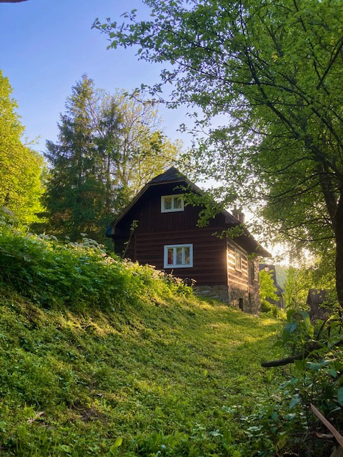 Predám romantickú chalupu - drevenica Terchová - Šípková