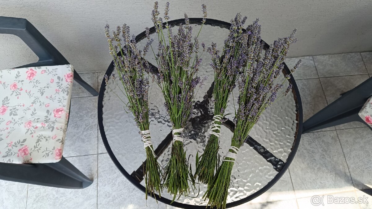 Levandula