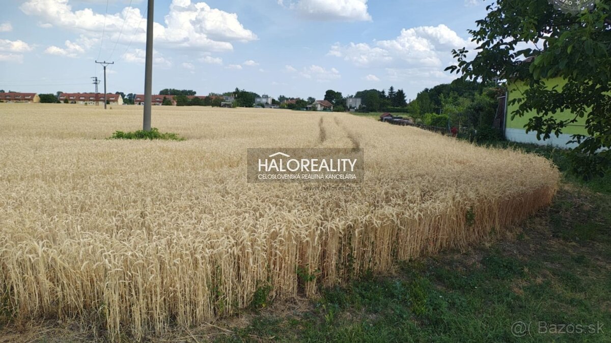 HALO reality - Predaj, pozemok pre rodinný dom 2605 m2 Kút