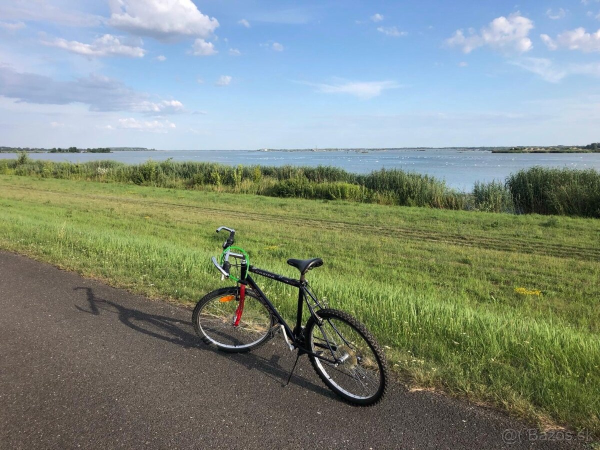 Bicykel Dema