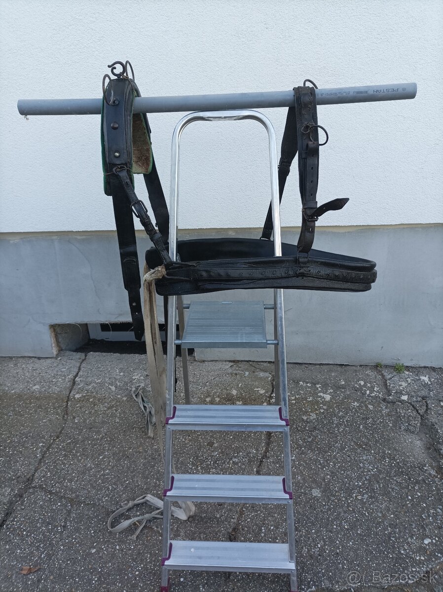 Postroj na koňa
