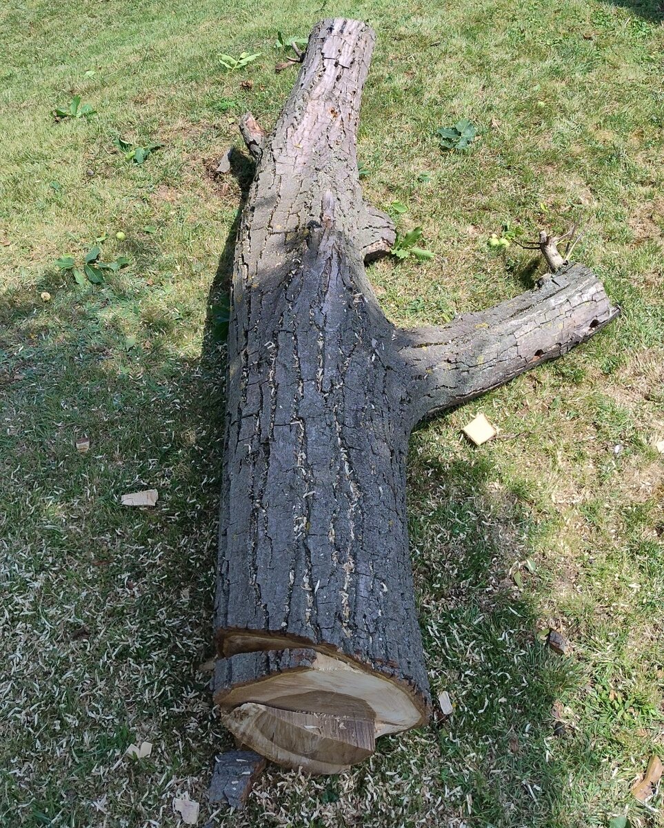 Orechove drevo